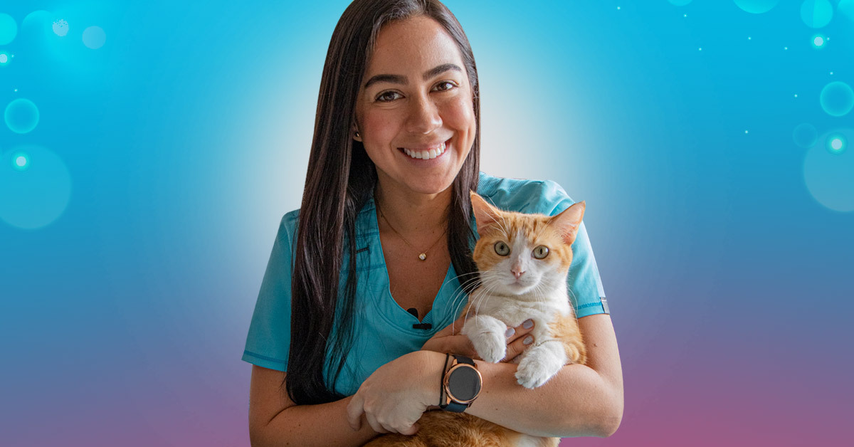 ¿Sabes qué es el sida felino?