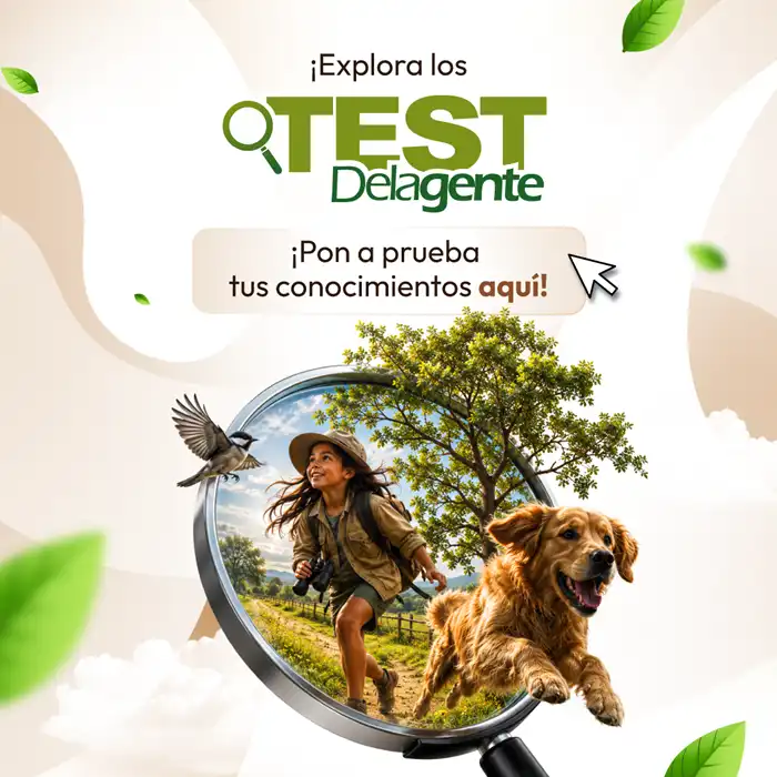 FOOTER_-_TEST_DELAGENTE