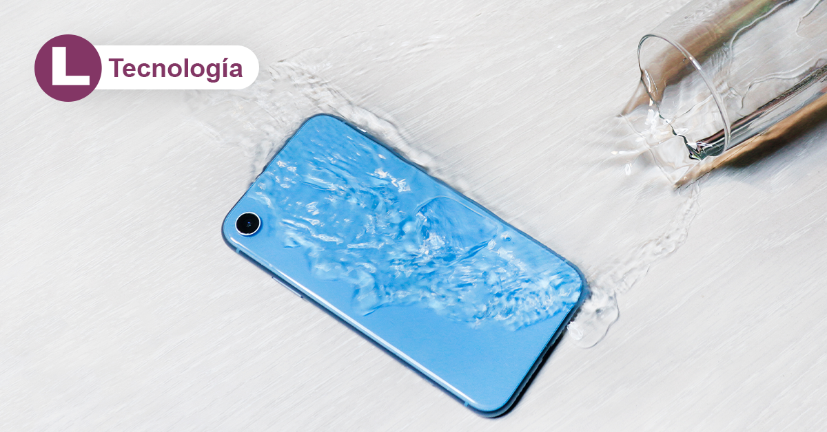 ¿Se te cayó el celular al agua? ¡Esto es lo que debes hacer!
