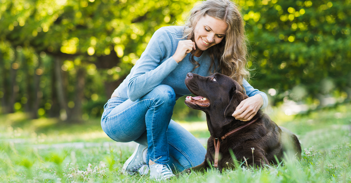 Los “snacks” y el buen trato, las claves para educar a una mascota