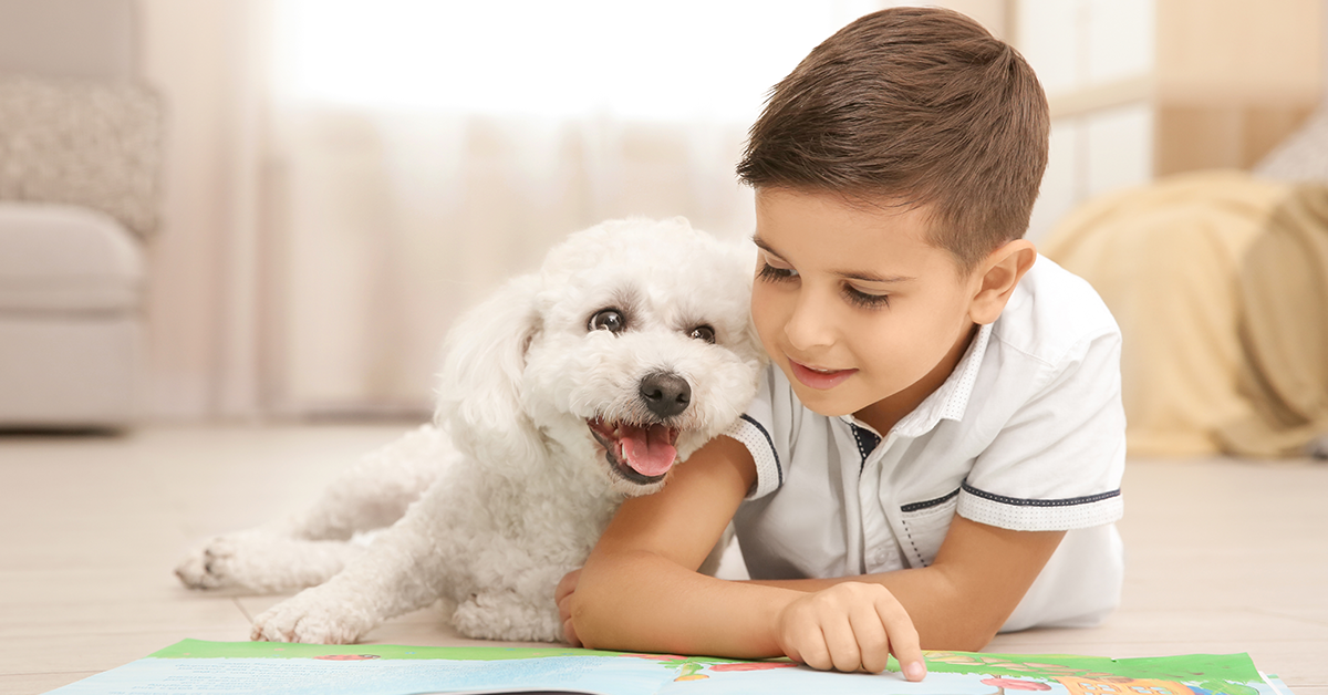 cuentos infantiles para niños sobre las emociones