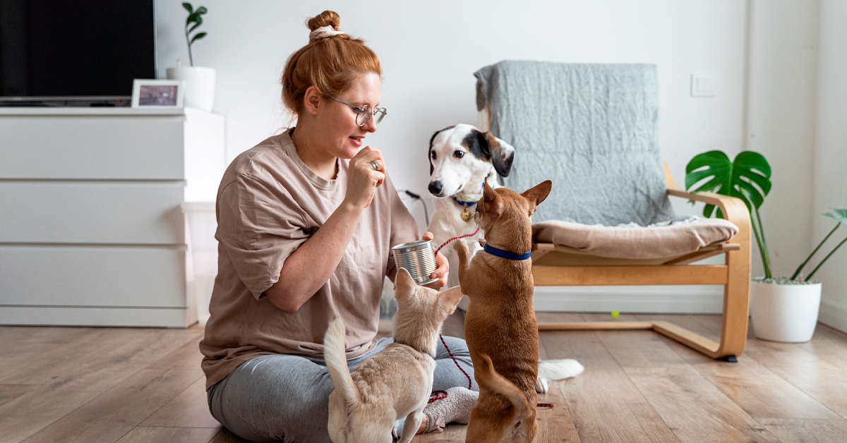 Consiente a tu perro con estos snacks saludables