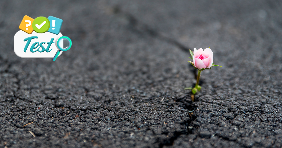 ¿Sabes qué es la resiliencia?