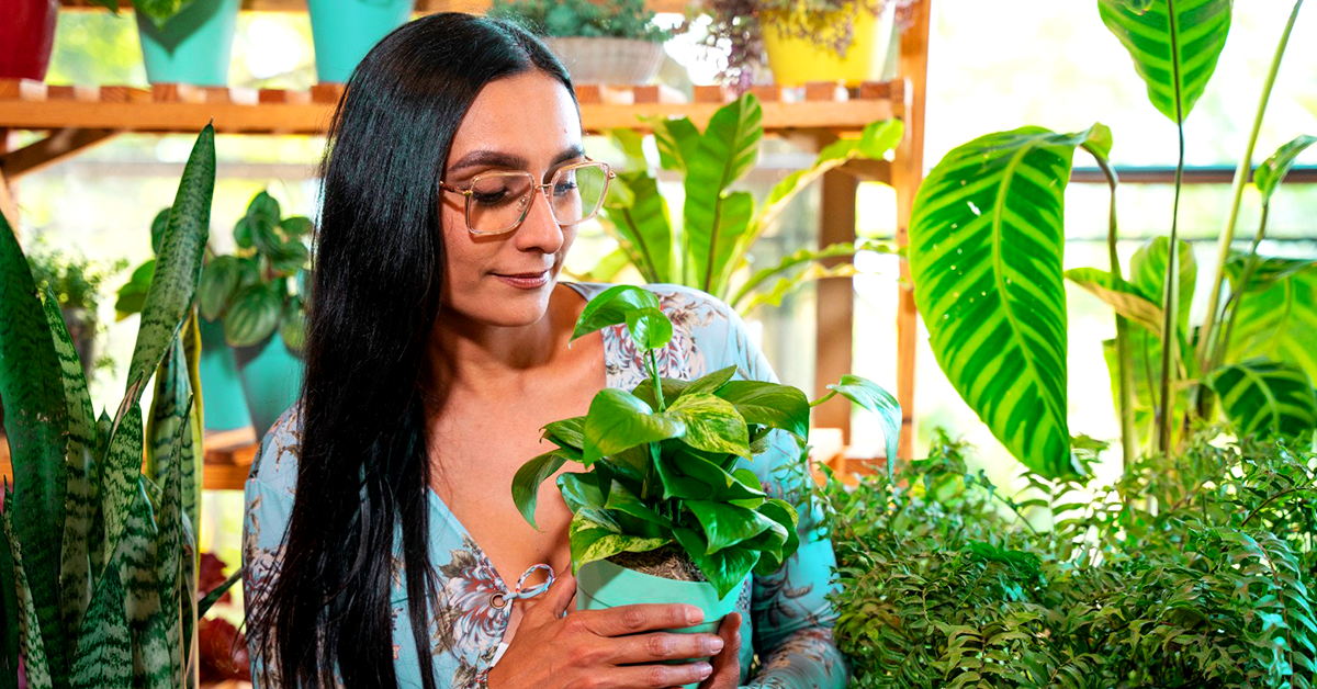 Paula Andrea Reyes y su emprendimiento con plantas