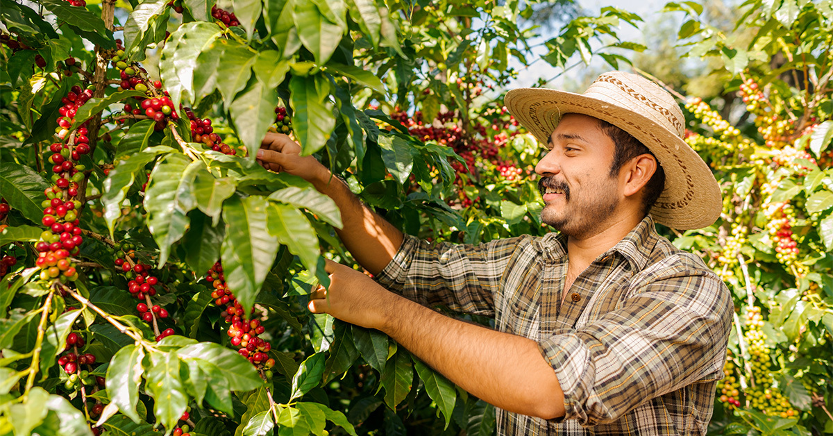 Celebremos el Día Nacional del Campesino, conociendo su origen