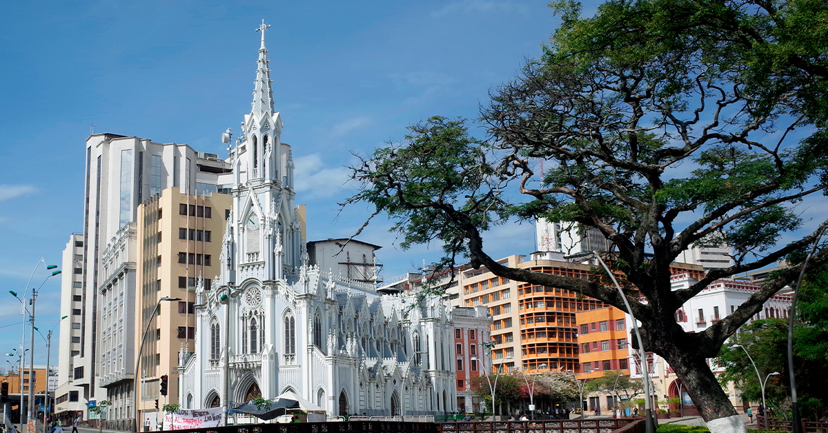 Cumpleaños de Cali, una fecha para celebrar con el colorido de las aves