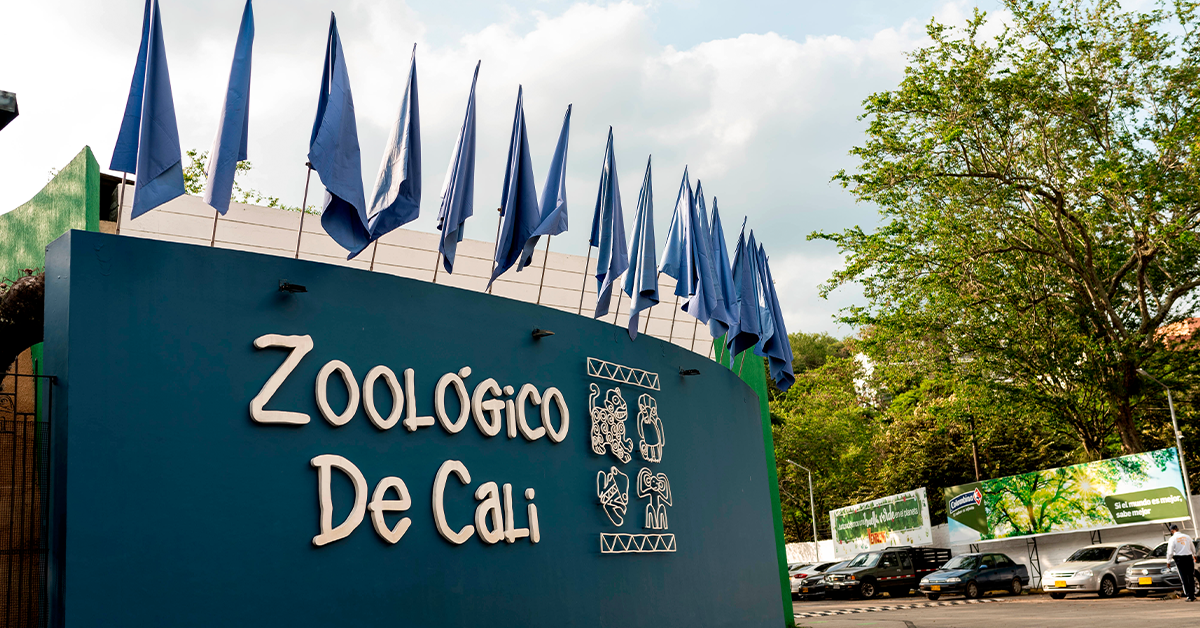 Diversión por montones a tarifas subsidiadas para las categorías A y B de Comfenalco Valle Delagente, en el Zoológico de Cali