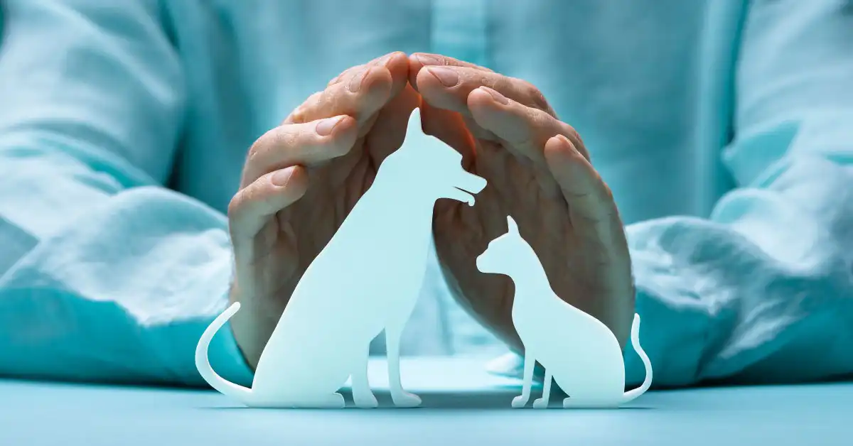 Seguro para mascotas: un acto de previsión y amor