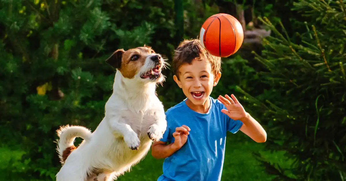 Actividades y juegos para que tener un perro activo física y mentalmente