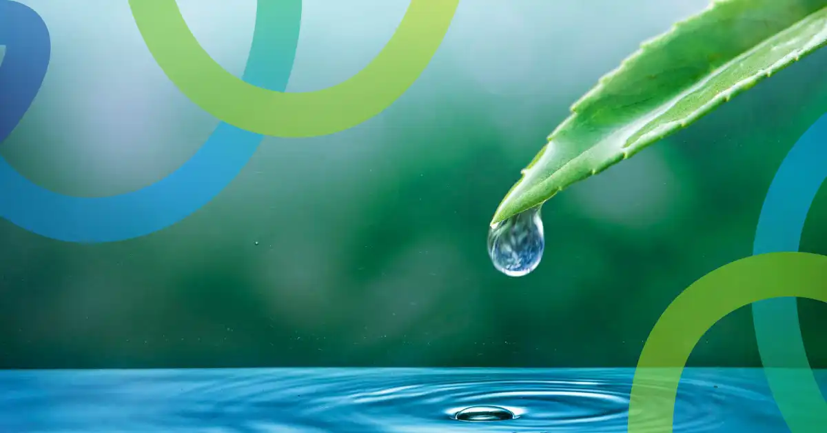 Día Mundial del Agua