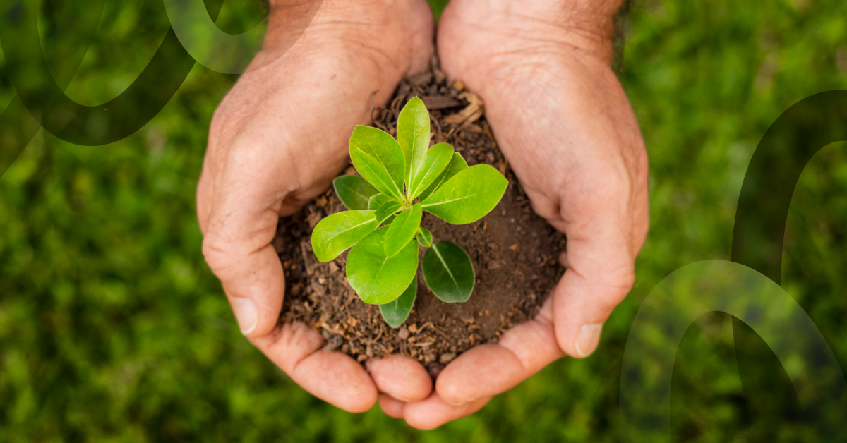 Celebremos la vida protegiendo medio ambiente