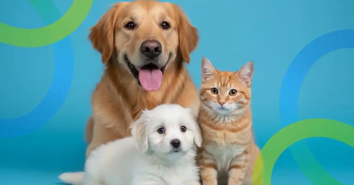 Mascotas en 2026: Cómo el Cuidado Consciente y la Tecnología Transforman su Vida
