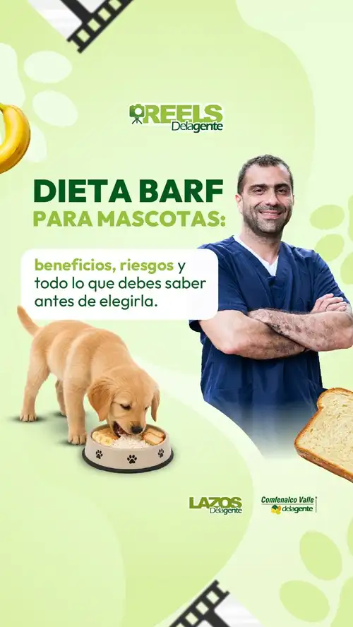 DIETA_BARF