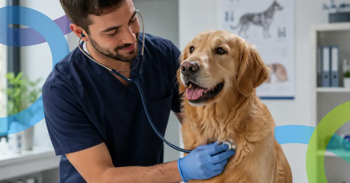 El chequeo anual de tu mascota: una inversión en salud y bienestar