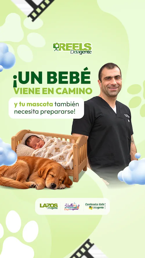 Prepara a tu mascota para la llegada de un bebé